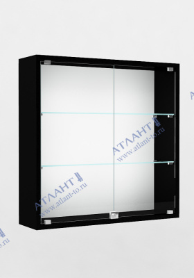 Музейная витрина В.П.-2